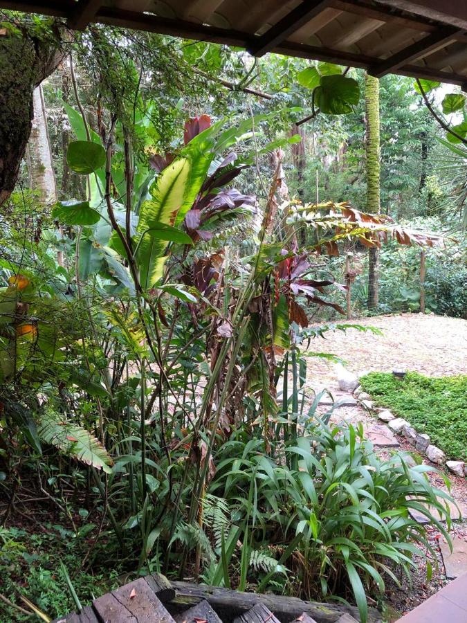 Chalé das Flores - Ferienwohnung Brumadinho