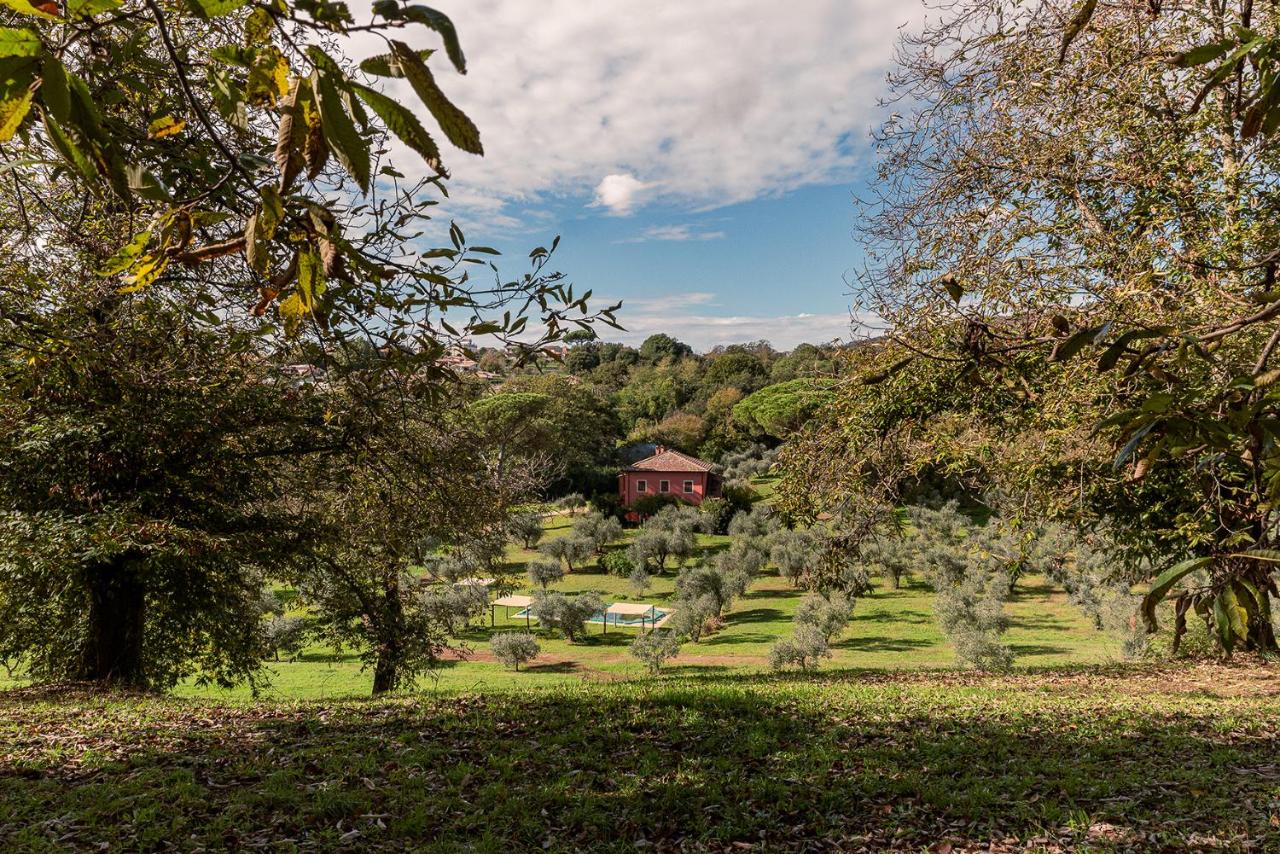 Villa Flavia - Chambres d'hôtes Manziana