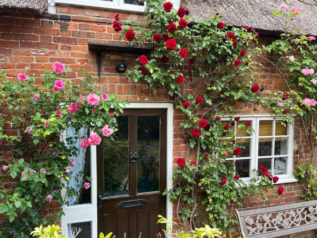 Rose Cottage - Ferienwohnung Ludham