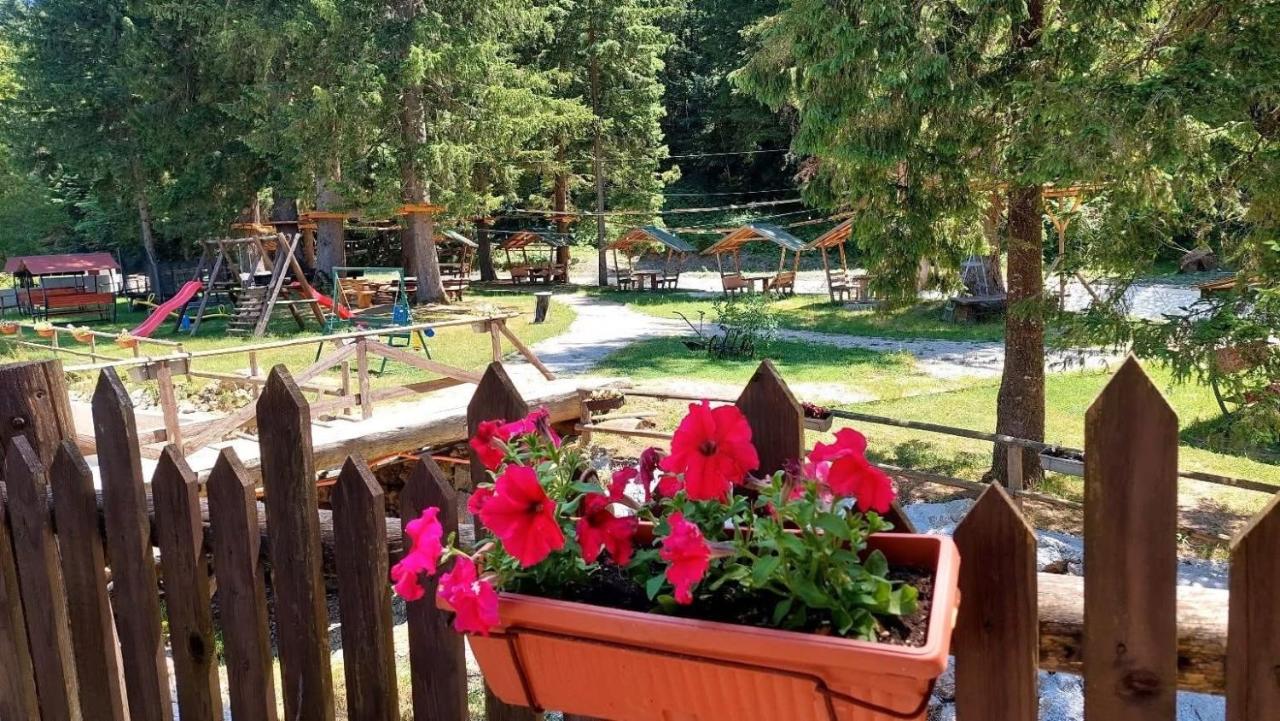 Eko park Jelići - B&B Jelići