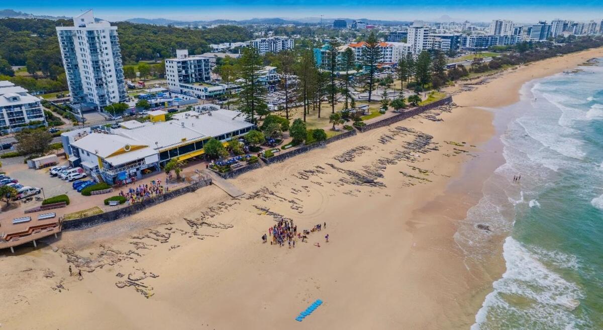 Alex Beach Escape Resort Apartment - B&B Alexandra Headland
