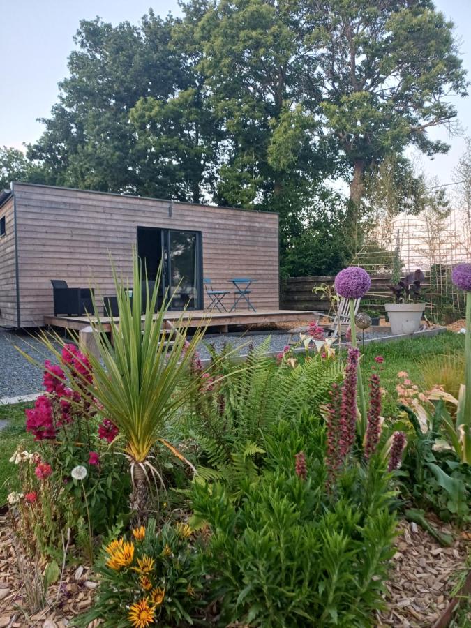 Tiny house et sauna dans un cadre verdoyant - B&B Gommenec'h