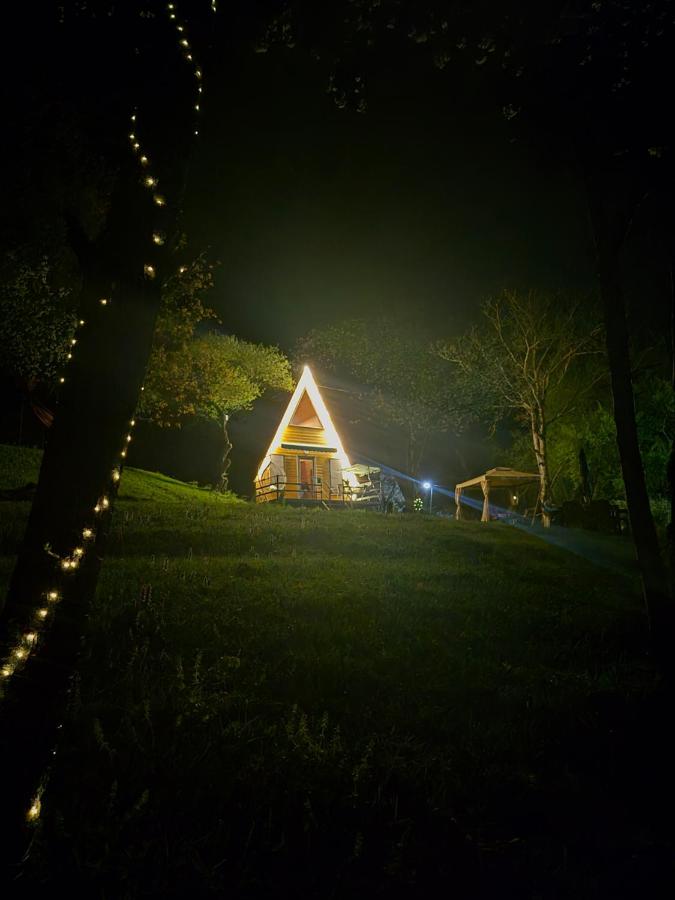 Pinehouse Urtkhva in Surami - Chambres d'hôtes Bugaura