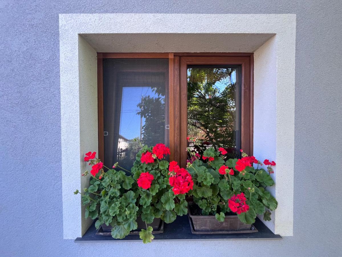 Vadkörte Balaton Apartman - B&B Balatonfűzfő
