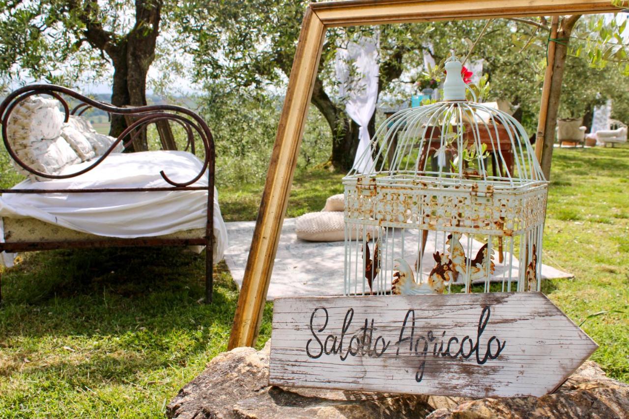 Casa Montalgallo - Ferienwohnung Lucignano