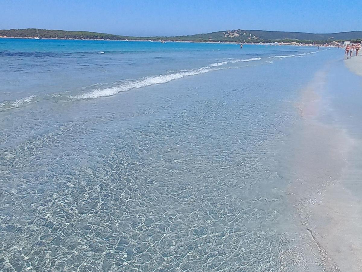 il ginepro - B&B Porto Pino