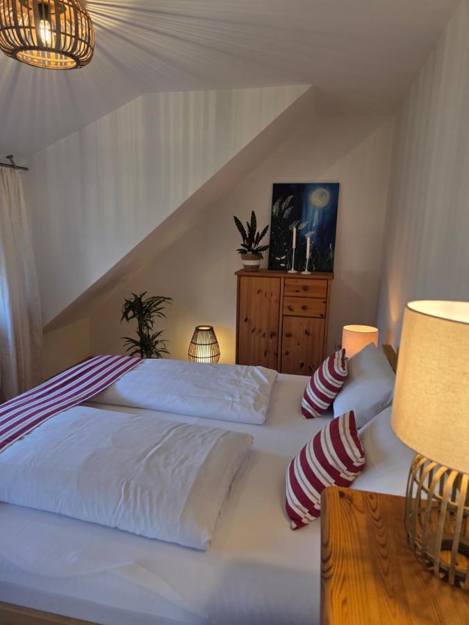Kiek mol rin - Richmanns Appartements - Ferienwohnung Hüde