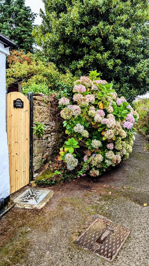 Anneth Lowen - Charming Cornish Cottage near Mousehole - Chambres d'hôtes Paul