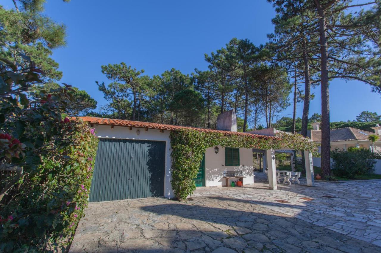 Ocean, Pines and Mountain - Renovated February 2025 - AC - Ferienwohnung