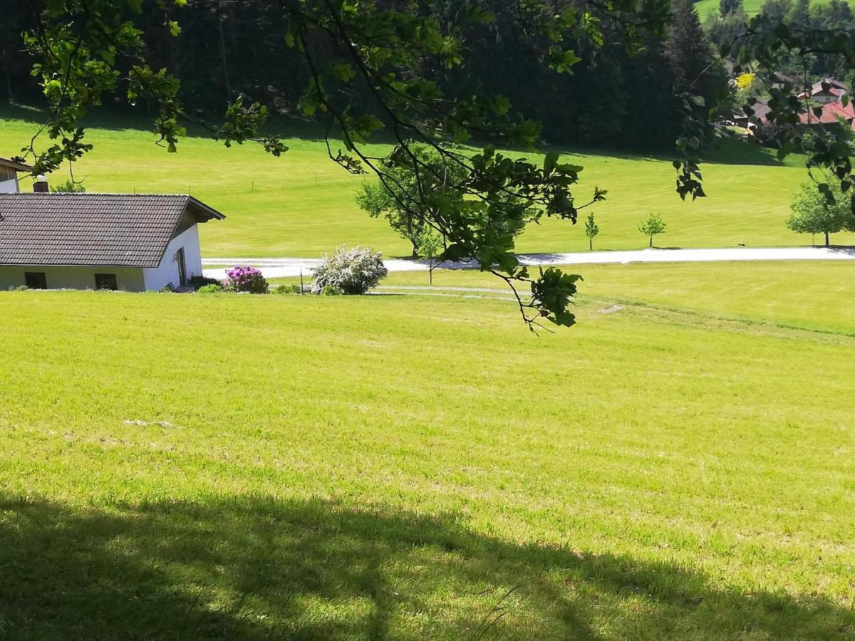 Berghof - Ferienwohnung Viechtach