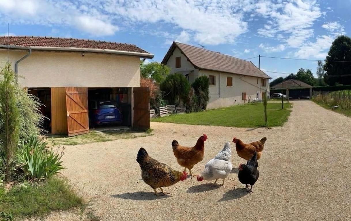 Aaah la campagne. . . - Ferienwohnung Faverges-de-la-Tour