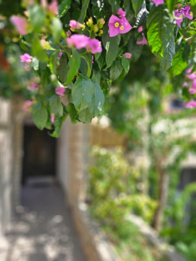 Ton1 - B&B Spalato