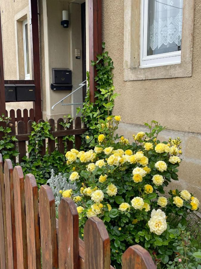 Atelier-FEWO-Polenztal - bis 5 Personen - Chambres d'hôtes Neustadt in Sachsen