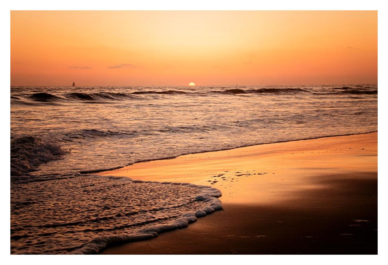 Getaway Beach Bungalow - Kid and Pet Friendly - Ferienwohnung Carlsbad