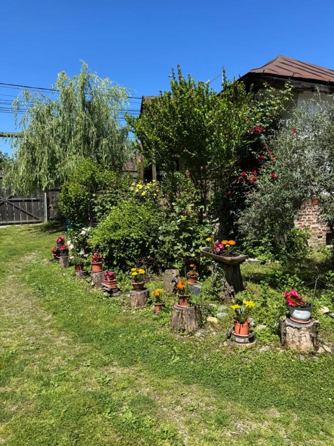 Old Court - B&B Curtea de Argeş