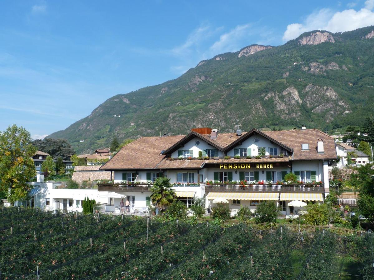Pension Runer - B&B