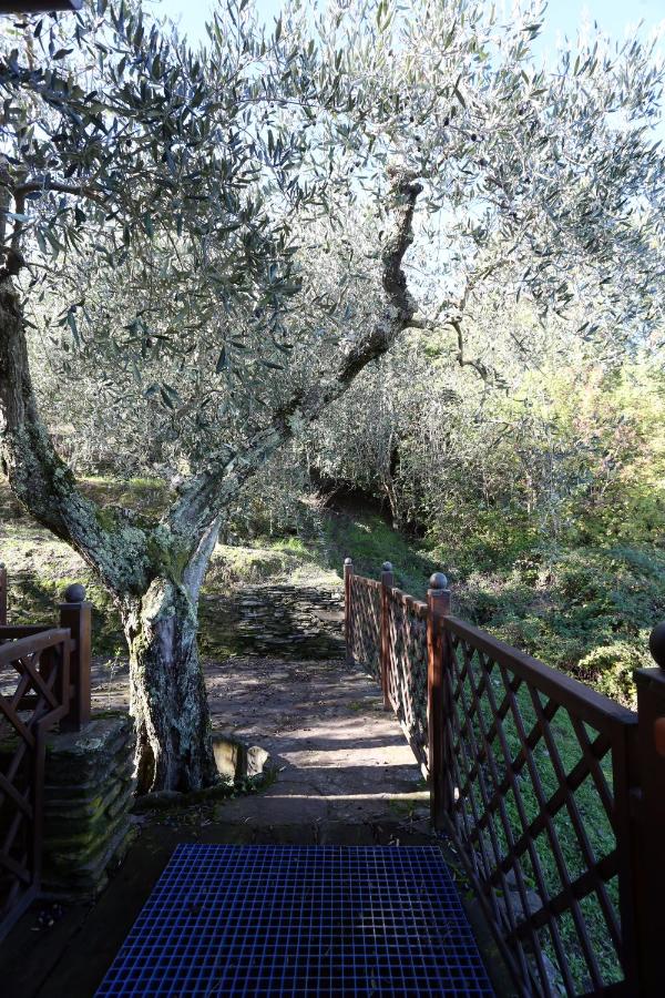 Molino del Rotone - B&B