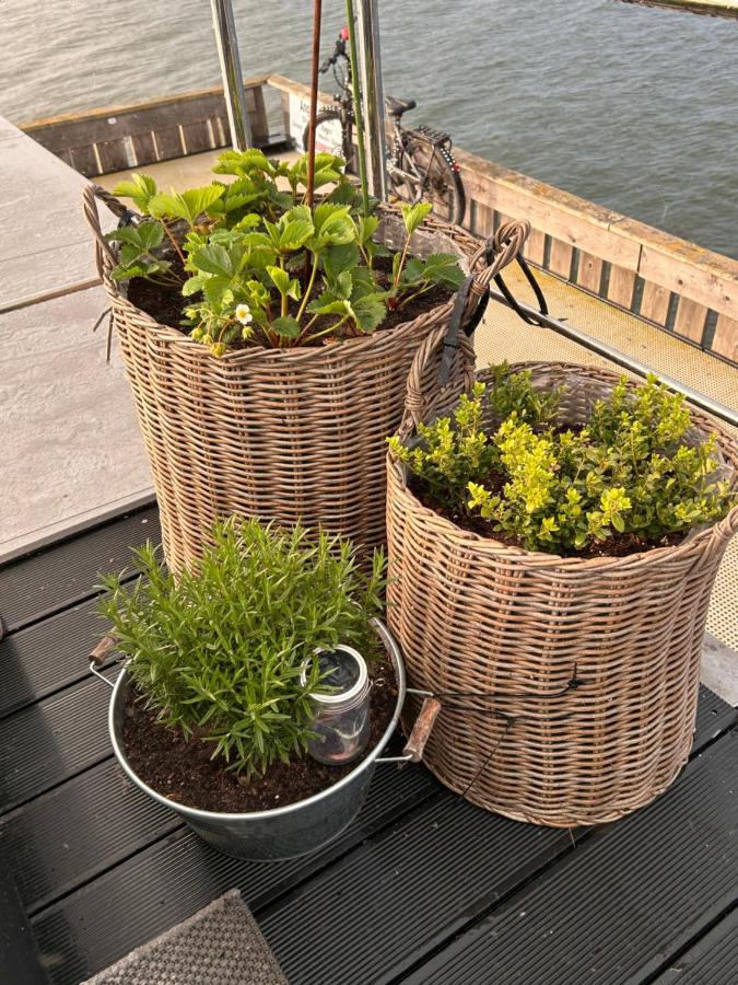 Hausboot Seeadler Ihre private Auszeit am Wasser mit Sauna, Hunde willkommen - Ferienwohnung Stralsund