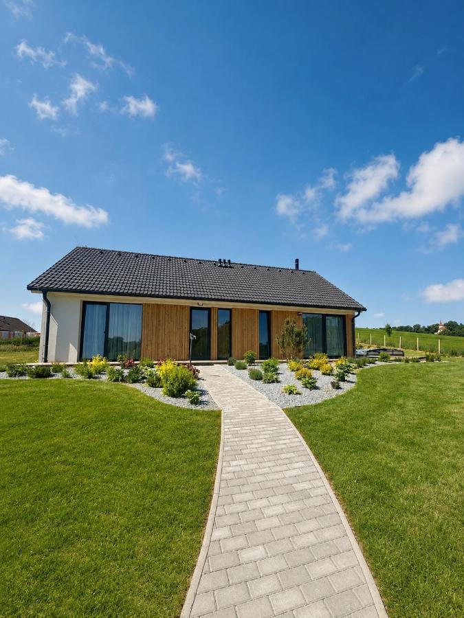 Modern House with Private Pool & Terrace - B&B Červená Třemešná