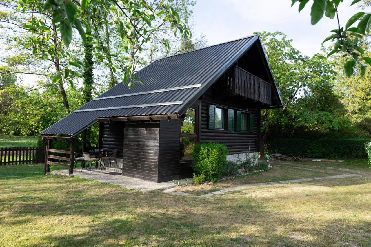 Apartma Dobnik - B&B Mozirje
