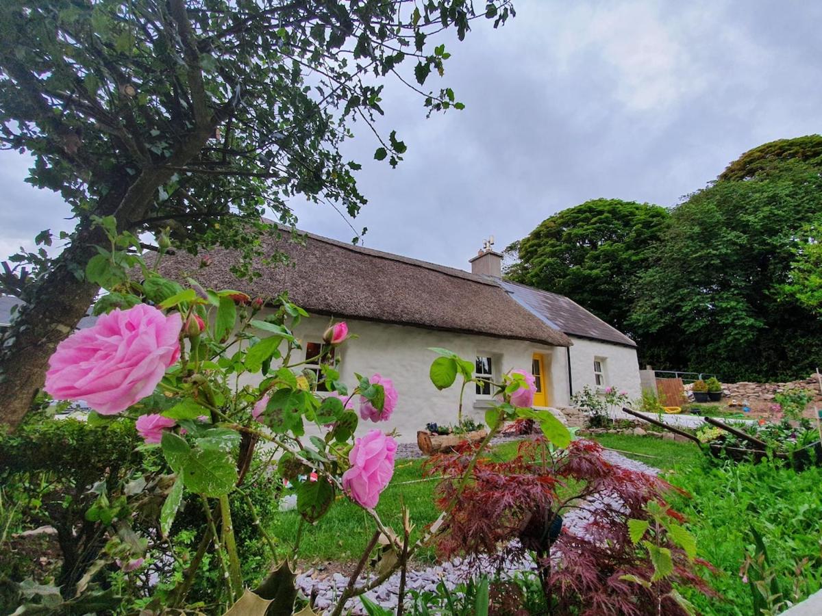 The Thatched Cottage - B&B Cork