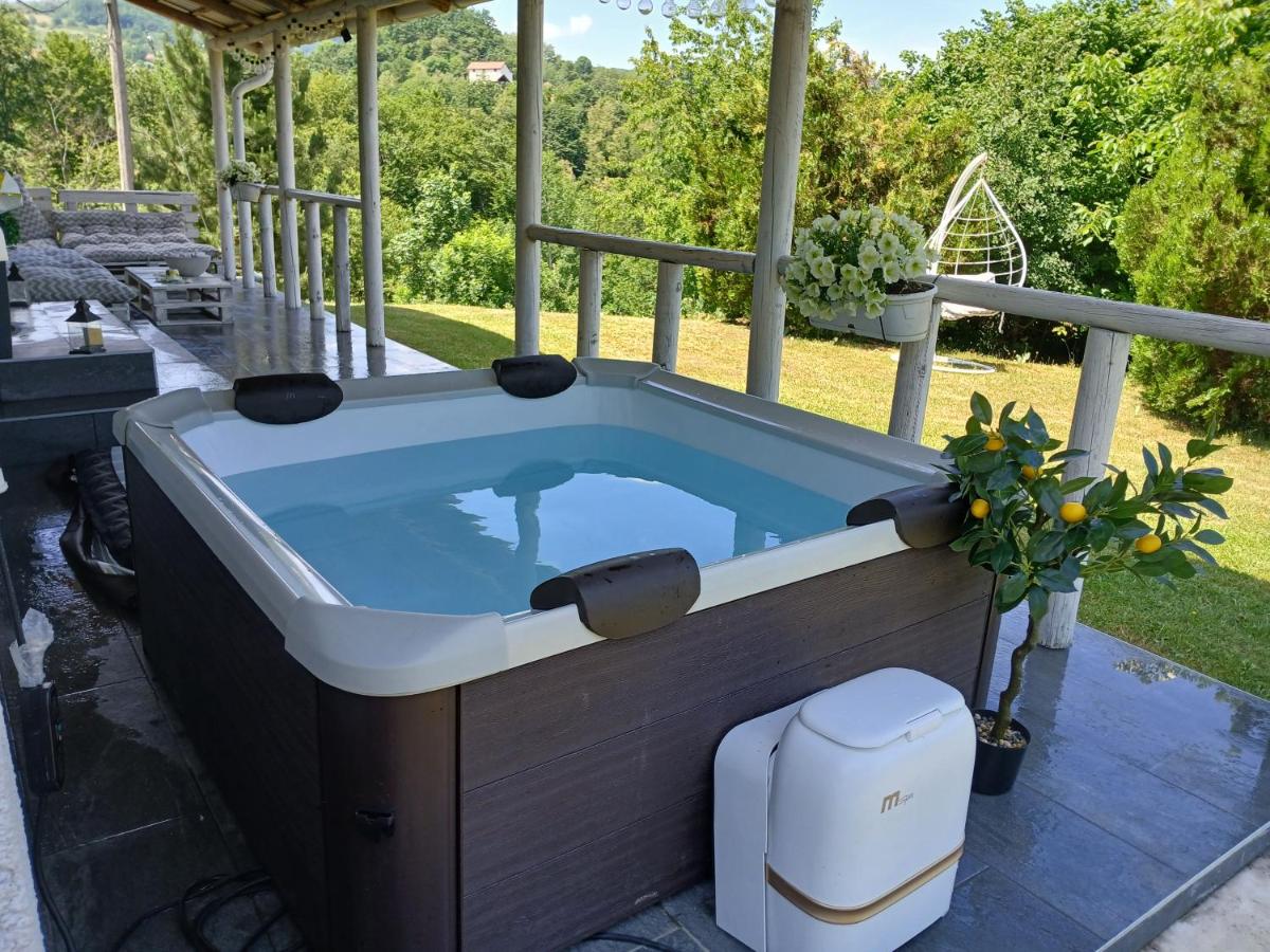 Vila Obradovic - Bed and Breakfast Arilje