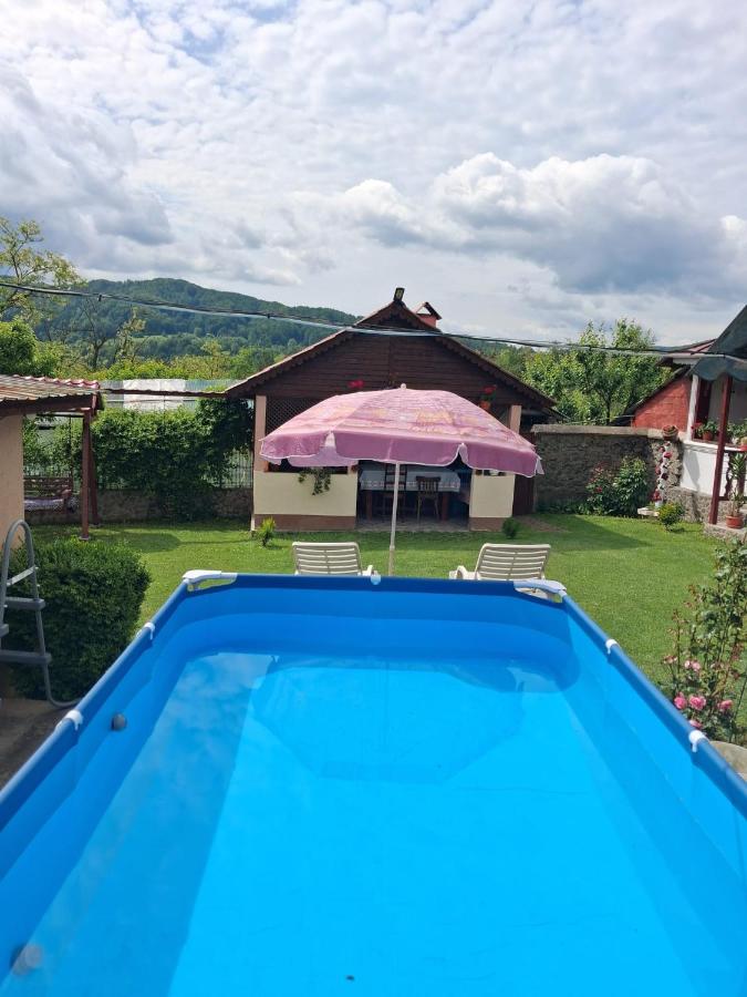 Casa Putna - Ferienwohnung Vidra