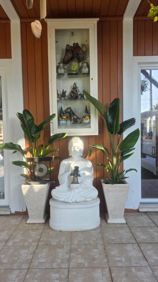 Casa Feia Hostel - B&B Costa de Caparica