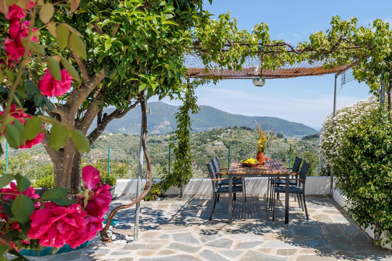 Anatoli Peak Cottage - B&B Skópelos