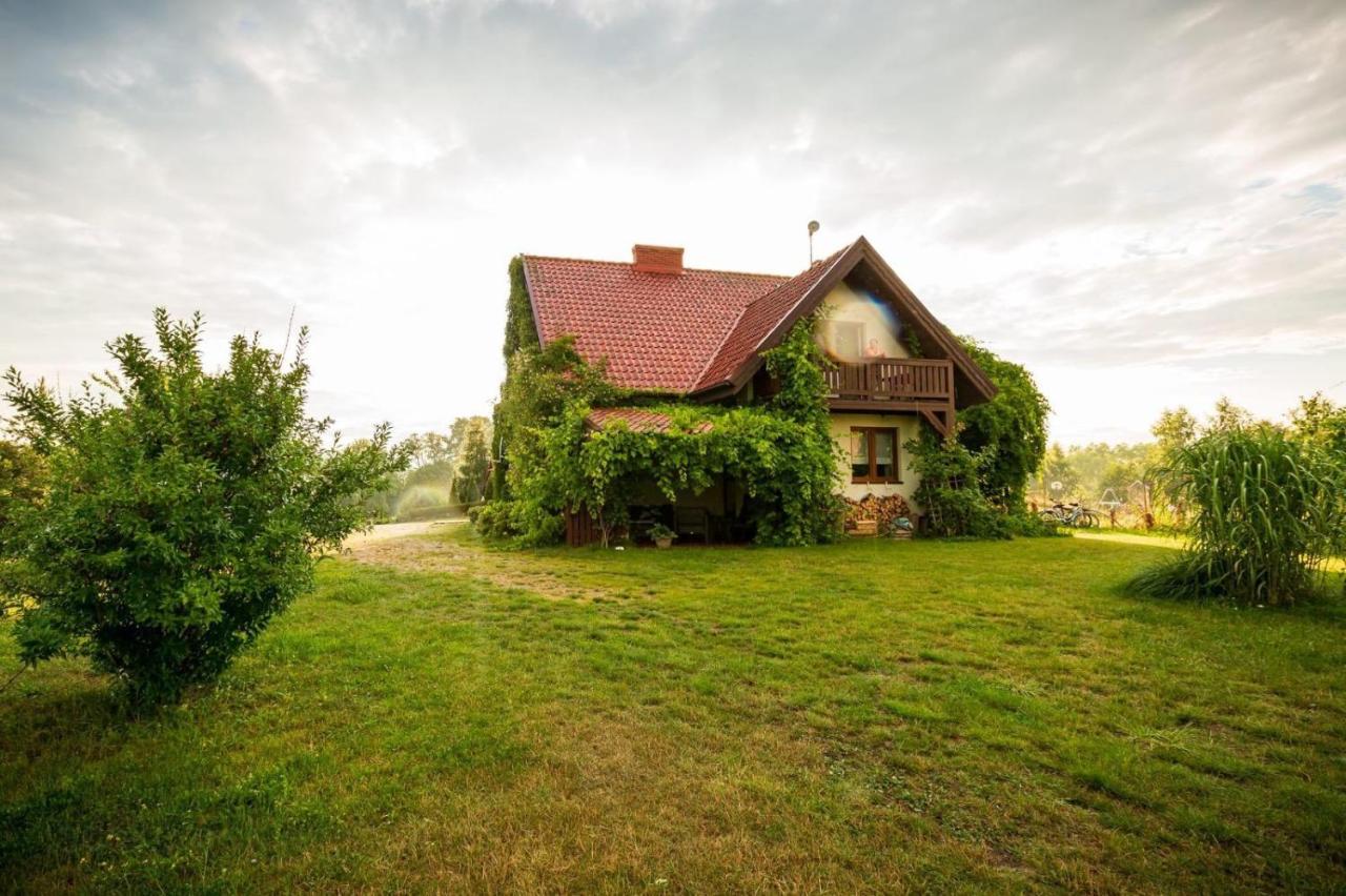 Wichrowe Wzgórze - B&B Faszcze