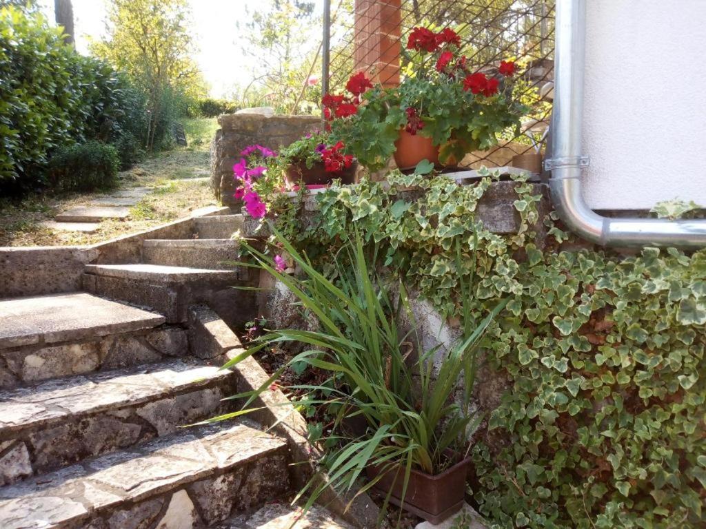 Studio apartman Bari - B&B Buzet