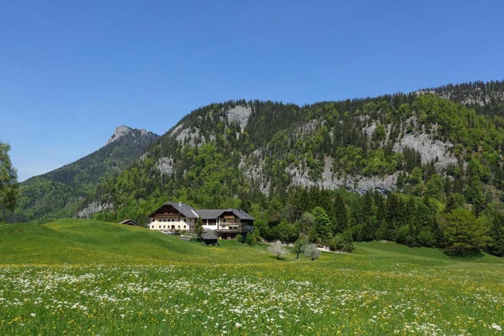 Urlauben im Grünen - Chambres d'hôtes Fuschl am See