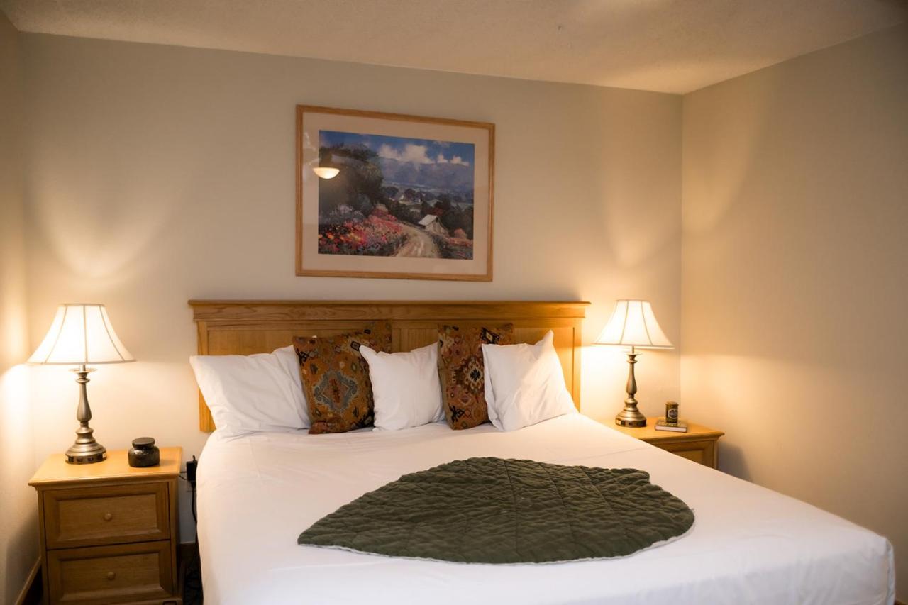 Walk to Mountain Base Studio for 4 & POOL - B&B Crested Butte