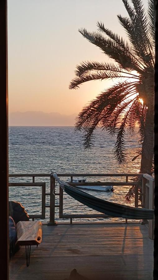 Beit Raheem - cabaña del mar - B&B Dahab
