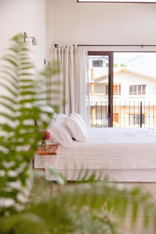 Casa Hibiscus Zaachila 2F - Ferienwohnung Puerto Escondido