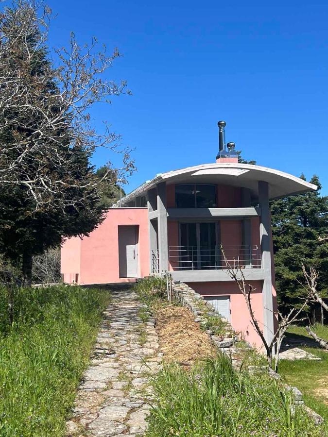 Seta Forest House - Ferienwohnung Séta