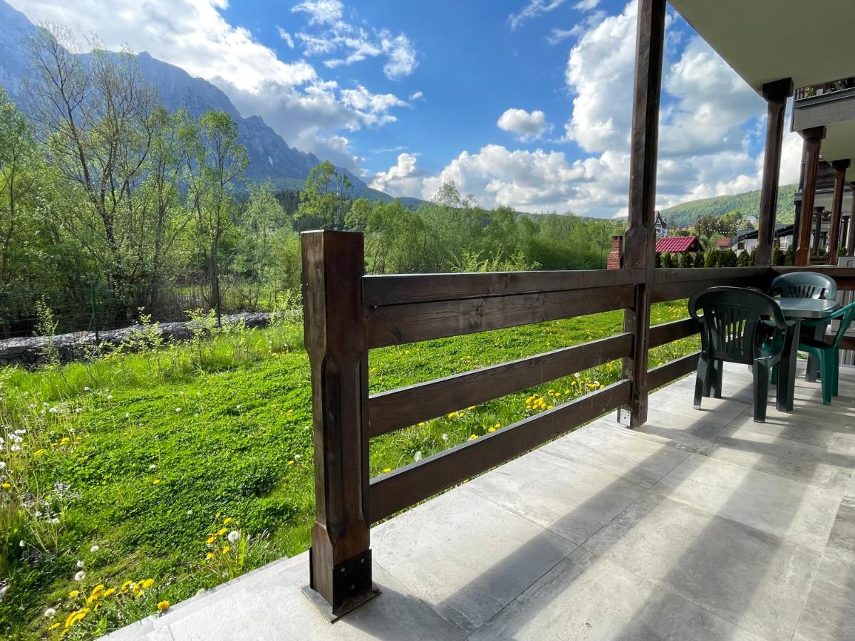 Cozy Riverfront Apartments with garden and mountain view - B&B Buşteni