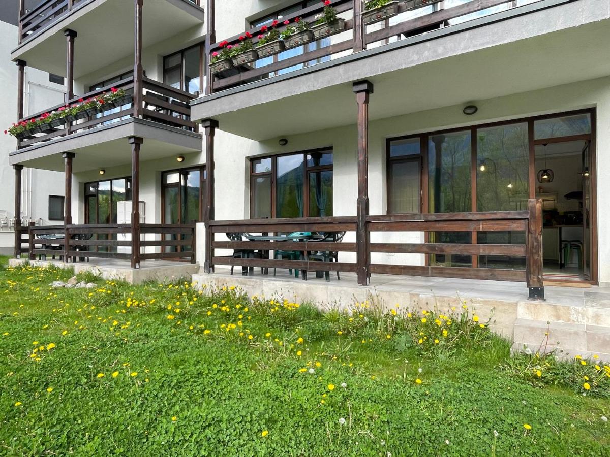 Cozy Riverfront Apartments with garden and mountain view - B&B Buşteni