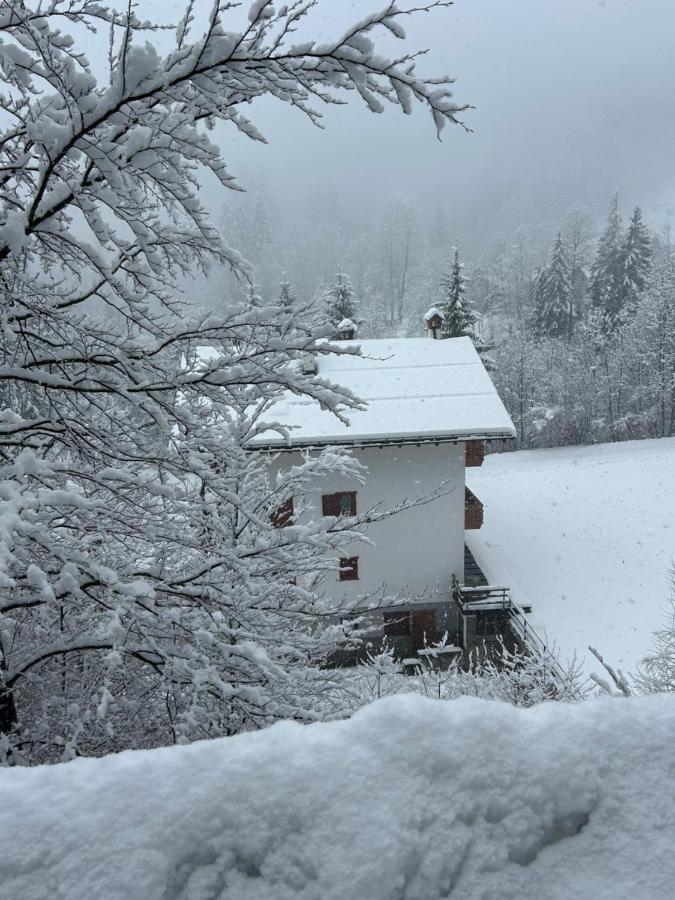 New Dolomites, Marmolada, San Pellegrino, Falcade - B&B Falcade