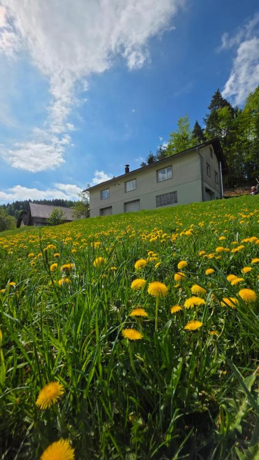 Ferienwohnung Zwölfer - B&B Langschlag