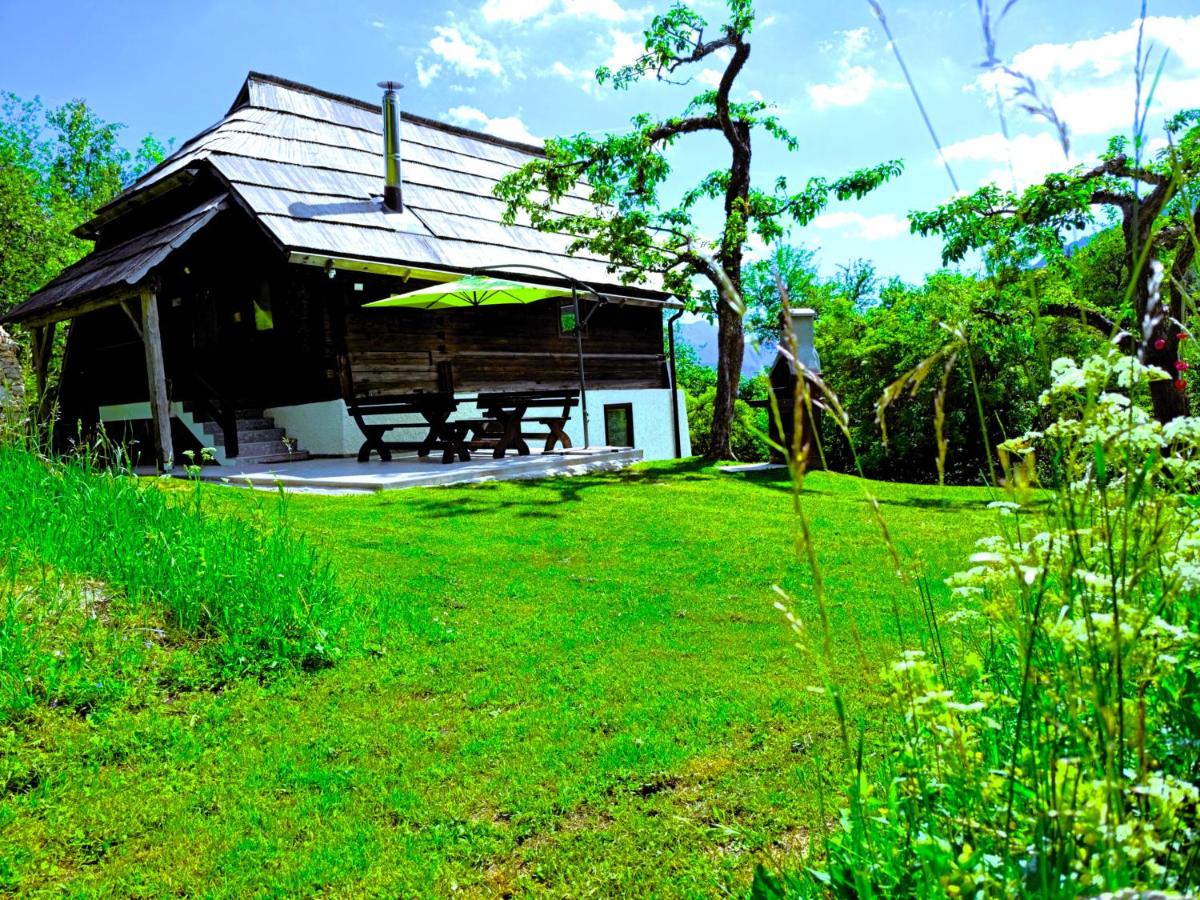Natur pur Pikovo - Ferienwohnung Crna na Koroskem