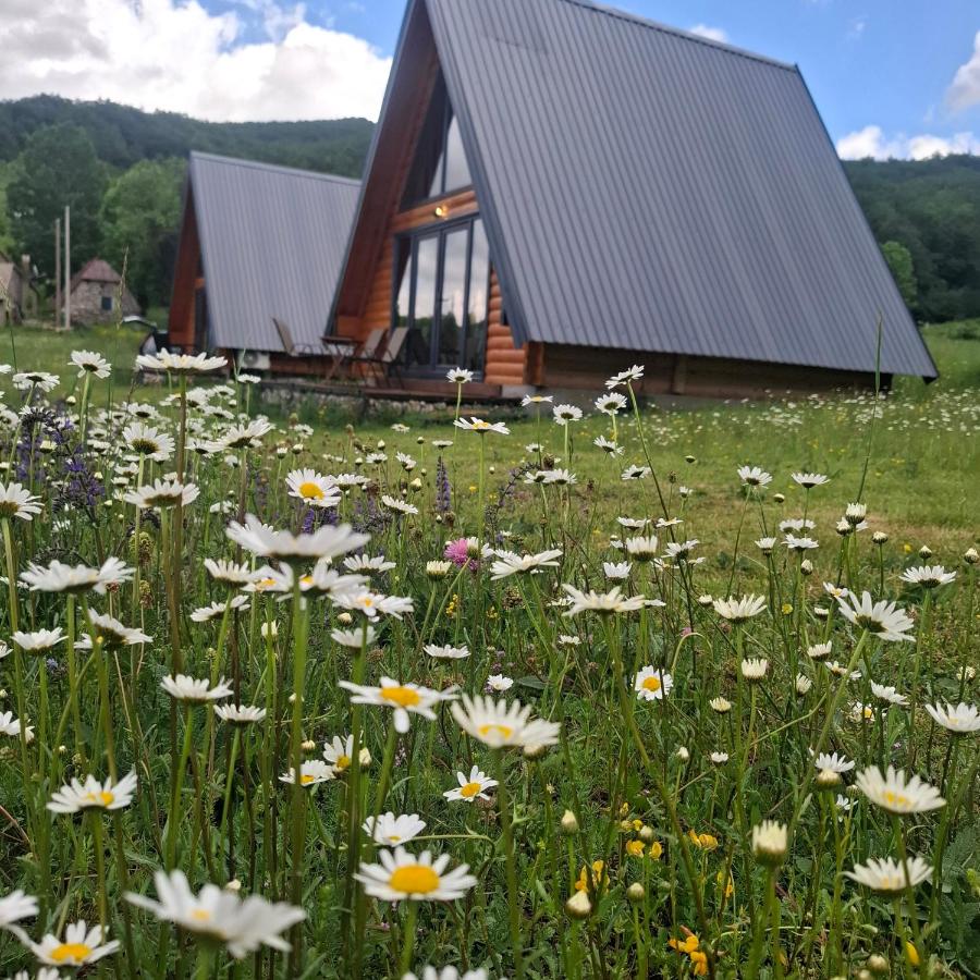Korijeni - B&B Šavnik