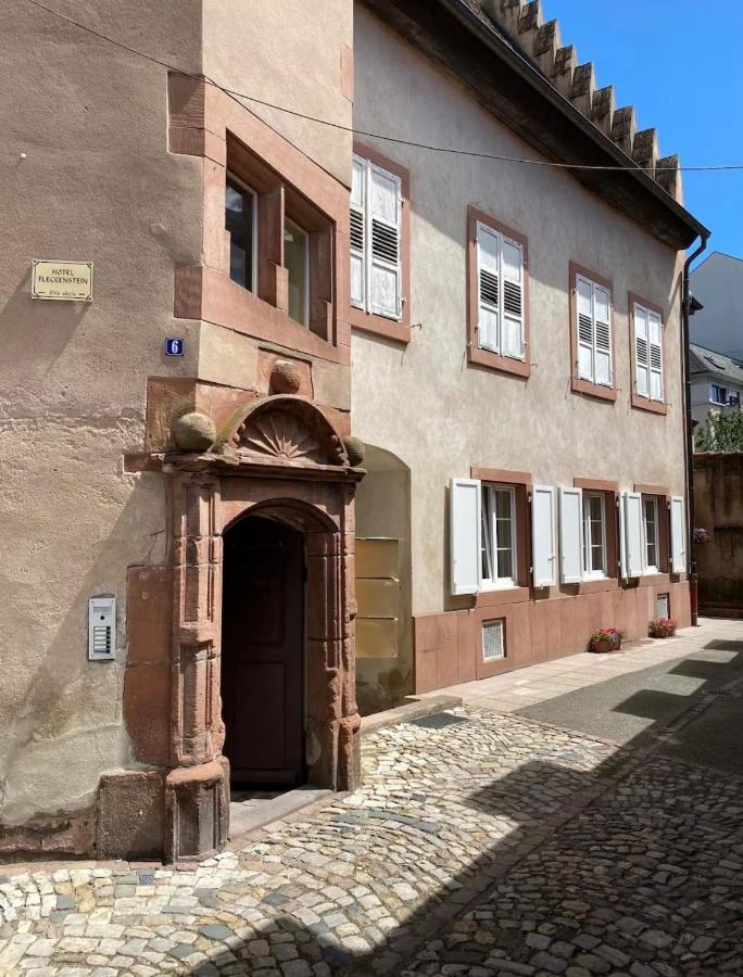 Appartement cosy 4 pers Centre Haguenau - B&B Haguenau