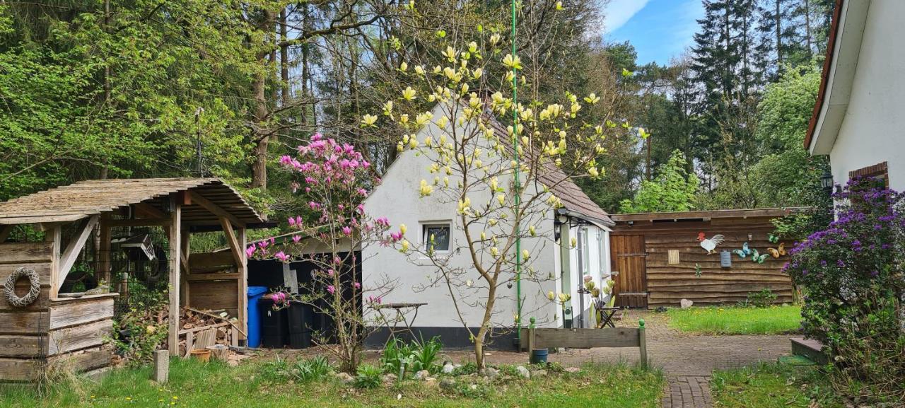 Tiny house im Wingster Forst - Bed and Breakfast Wingst