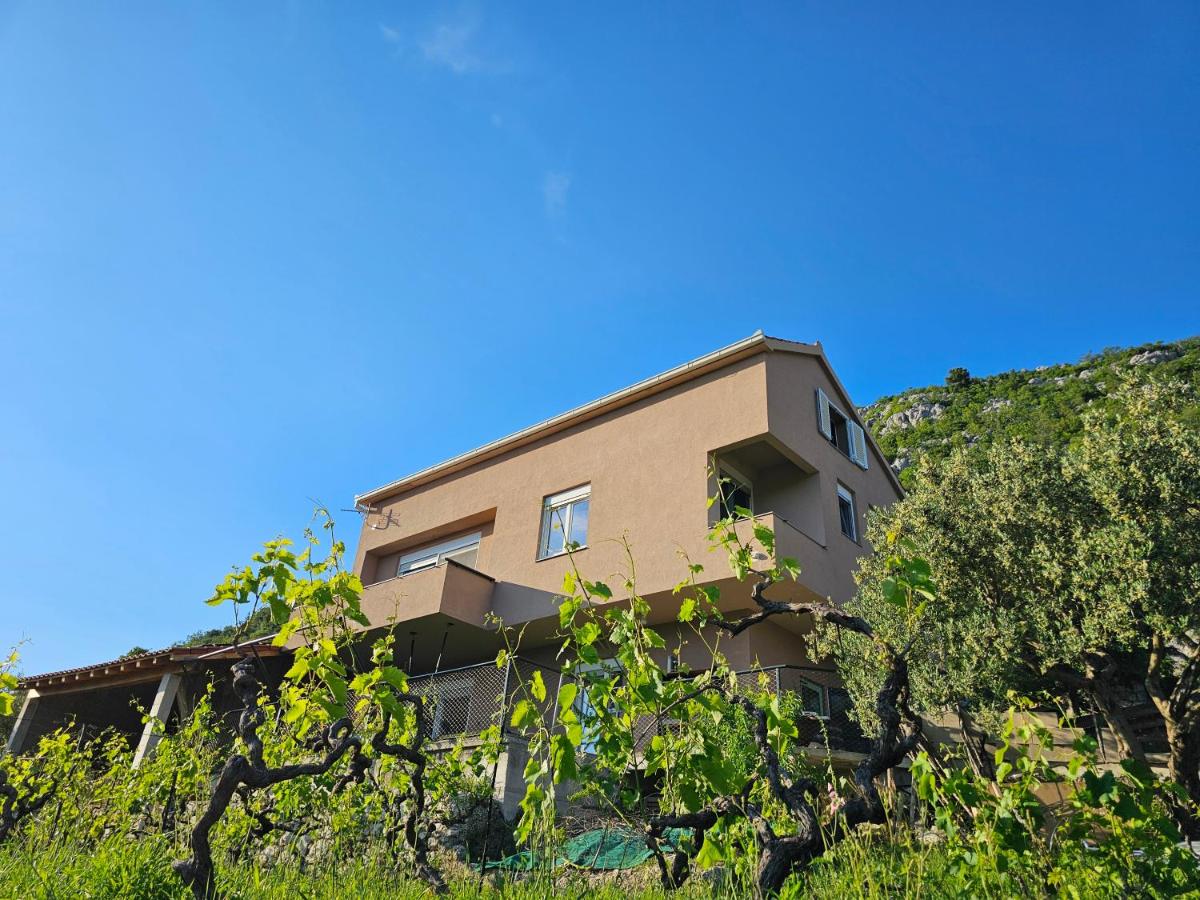 Boutique House Prosik - B&B Zadvarje