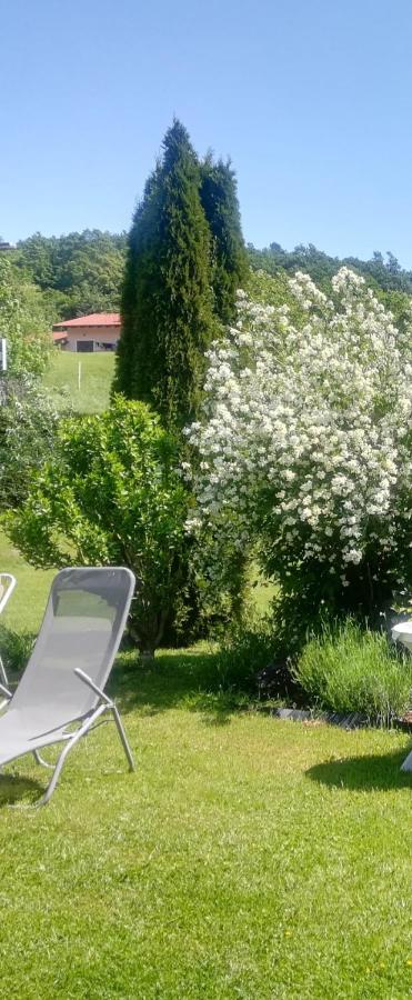 Apartma Deni - Ferienwohnung Jelšane