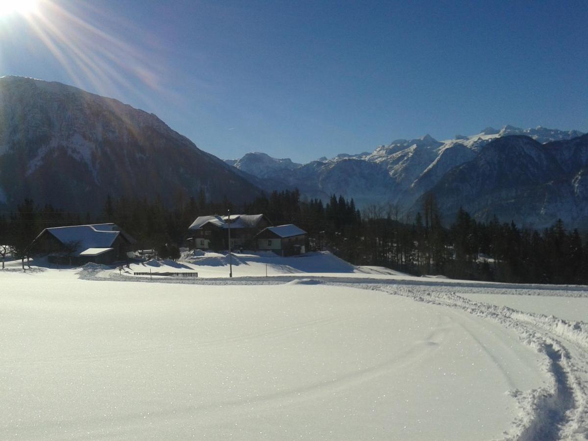 Ferienwohnung am Bauernhof Koa - Ferienwohnung Bad Goisern am Hallstättersee