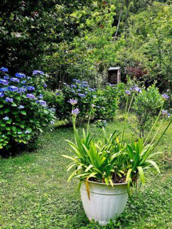 Kleine Auszeit No55 - B&B Moselkern