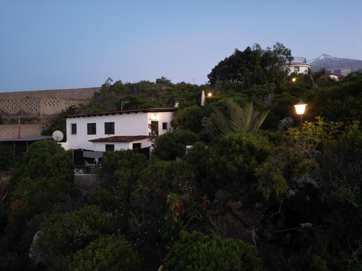 Bodeguita - Finca Tabaiba by TOR - B&B Icod de los Vinos