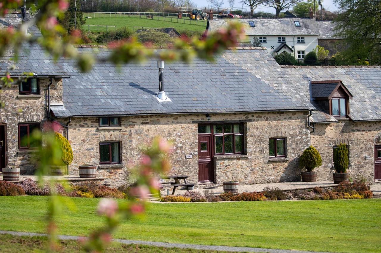 West Hollowcombe Farm - Bed and Breakfast Dulverton